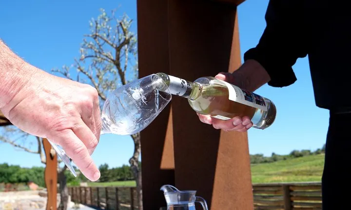 Wine Tasting and Art Tour