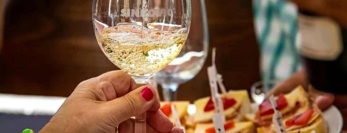 Wine party at Winery Baćac