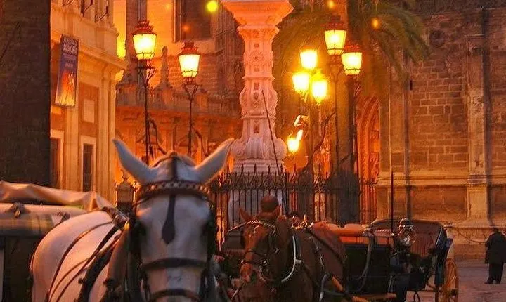 Horse and Buggy Ride in Seville with guide