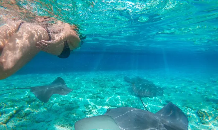 Exclusive Early Bird Komodo Tour: Beat the Crowds by Speed Boat