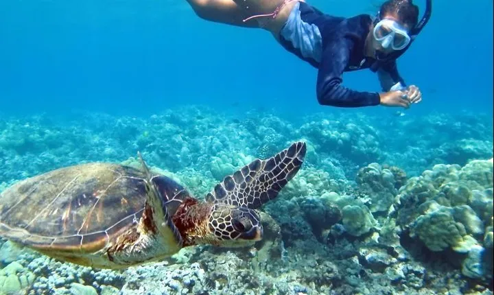 All INCLUSIVE Bali snorkeling at blue lagoon and tanjung jepun