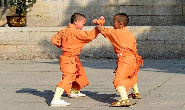 Luoyang Private Day Tour to Shaolin Temple and Longmen Grottoes