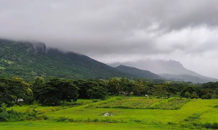 Private Tour: Best of Nadi Highlights