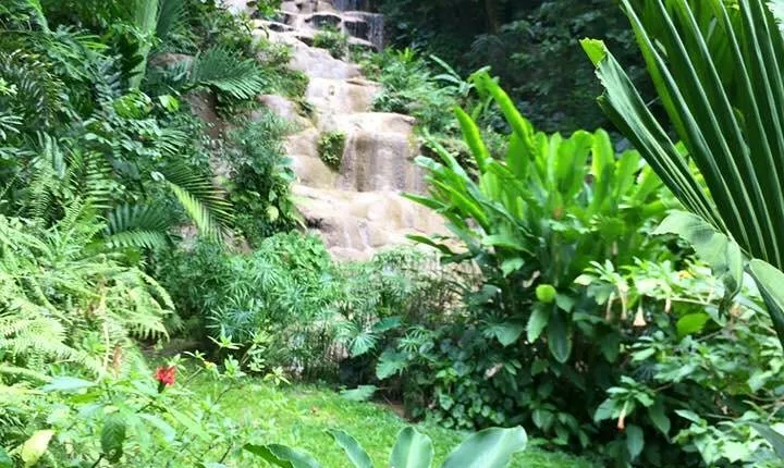 Private Konoko Falls and Dunn's River Combo Tour from Ocho Rios