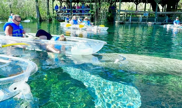 Sassy’s Silver Springs Kayak and Paddleboard Tours