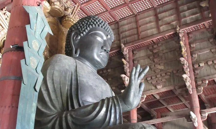 Nara ENGLISH GUIDE, Giant Buddha, Deer free in the park