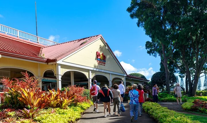 Oahus Exclusive (only 13 Allowed / Bus) Circle Island Tour
