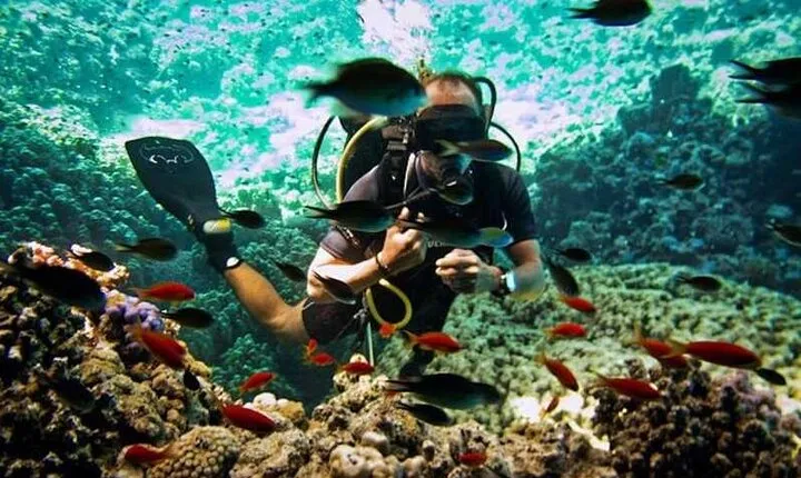 Diving Day Trip by Boat at Ras Mohamed in Sharm El Sheikh