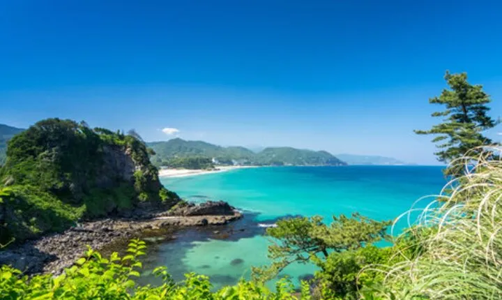 Tokyo Day Trip to Izu and Shimoda
