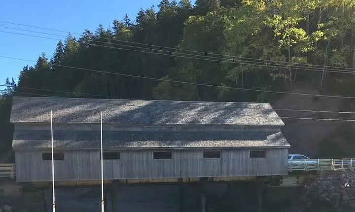 Bay of Fundy Tour by Bus