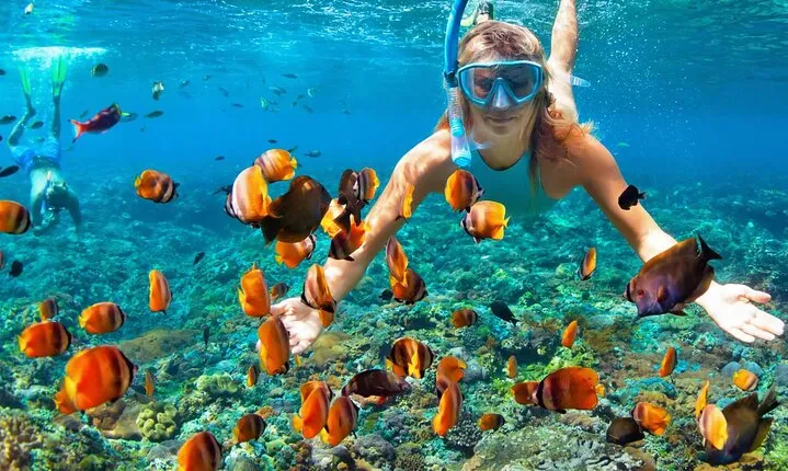 Orange Bay Private Snorkeling Cruise with Lunch