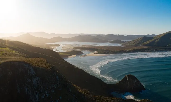 Otago Peninsula In-Depth Tour & Blue Penguins Pukekura Experience