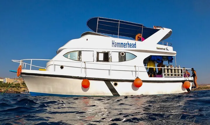 Boat Dive and Snorkeling Experience in Aqaba