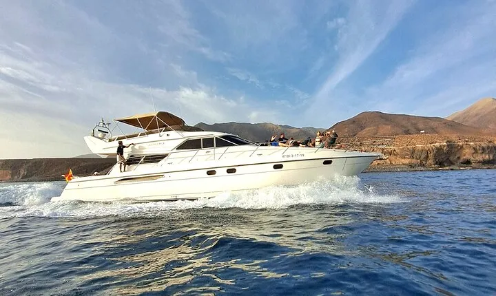 3 hour Dolphin and Whale Watching by Luxury Yacht