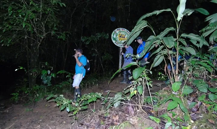 Nativos Corcovado Night Hike in DrakeBay