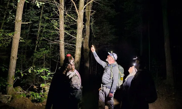 Gatineau Park Nocturnal Hike and Dinner From Ottawa