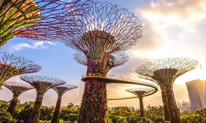Singapore Half Day City Tour w Skypark and Gardens By The Bay