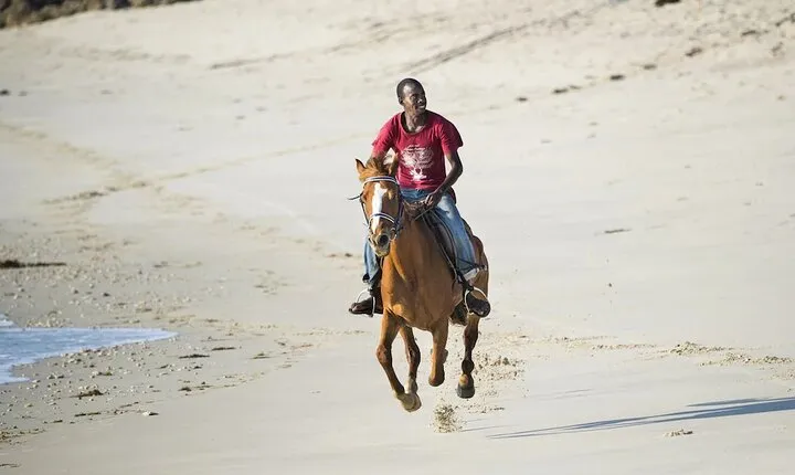Day Trip to Dar Es Salaam Zoo & Horse Riding Tour