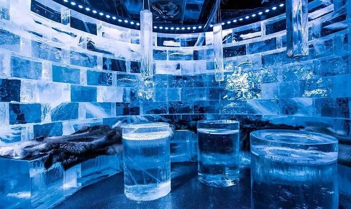 Private Tour of Stockholm with a visit to the Absolute ice bar