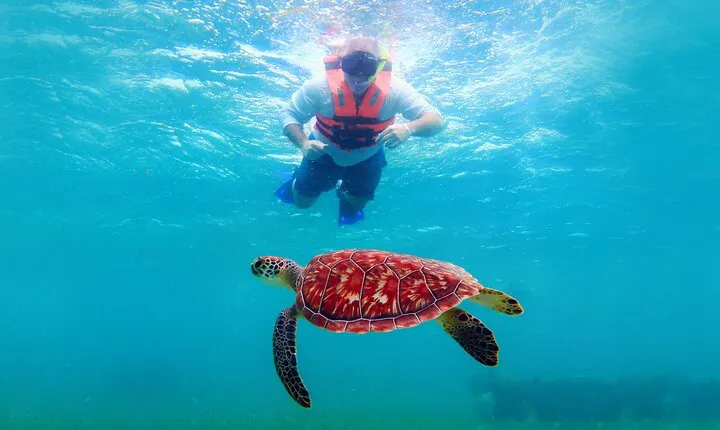 Coral Reef Snorkeling Expedition from Cancun with Beachside Lunch