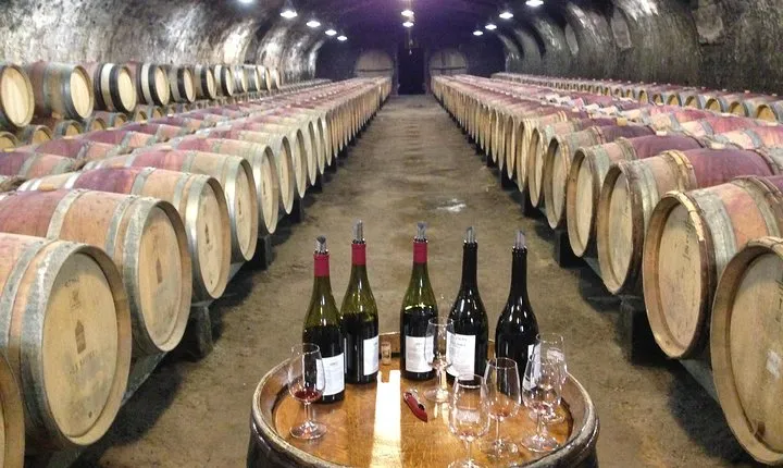 Beaujolais Crus Wines & Castles (2:00 pm - 6:30 pm) - Small Group Tour from Lyon