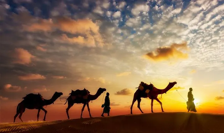 12-day Private Tour: Maharaja Rajasthan