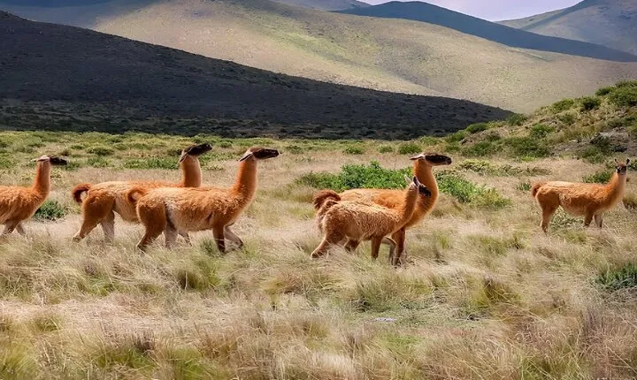 2 Day Tour from Salta to Humahuaca and Salinas Grandes