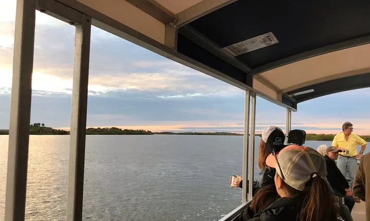 Wildlife Tour of Indian River Lagoon with Experienced Captain