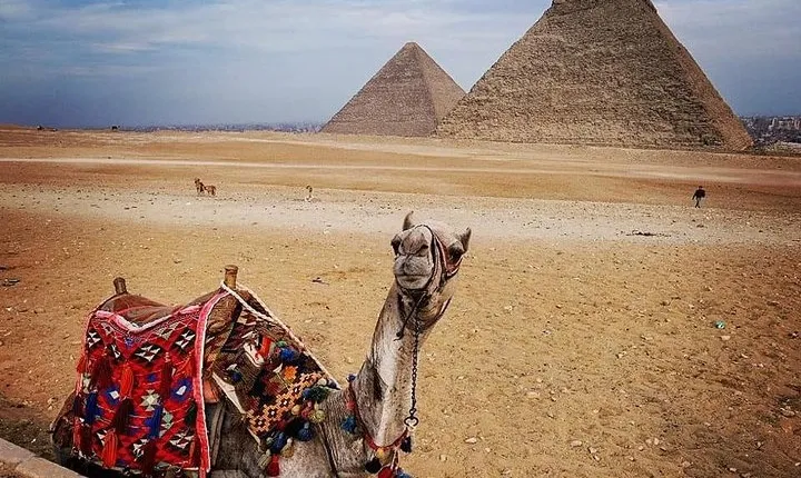 Full-Day Giza Pyramids Sphinx Sakkara Private Tour with Pickup
