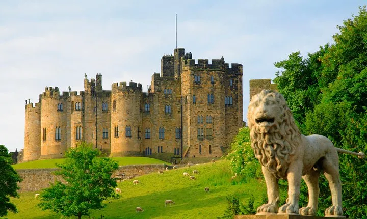 Viking Coast and Alnwick Castle Very Small Group Tour from Edinburgh 
