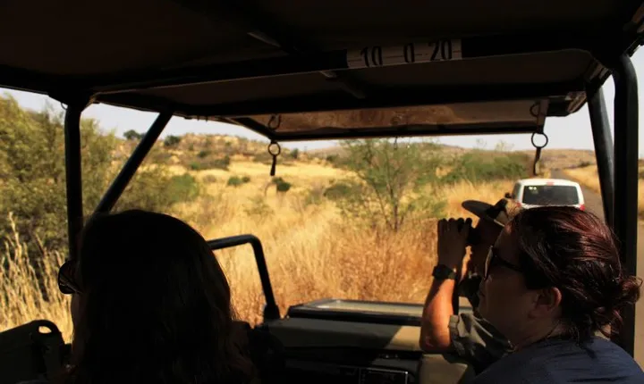 Full Day Pilanesberg Experience in Open Vehicle