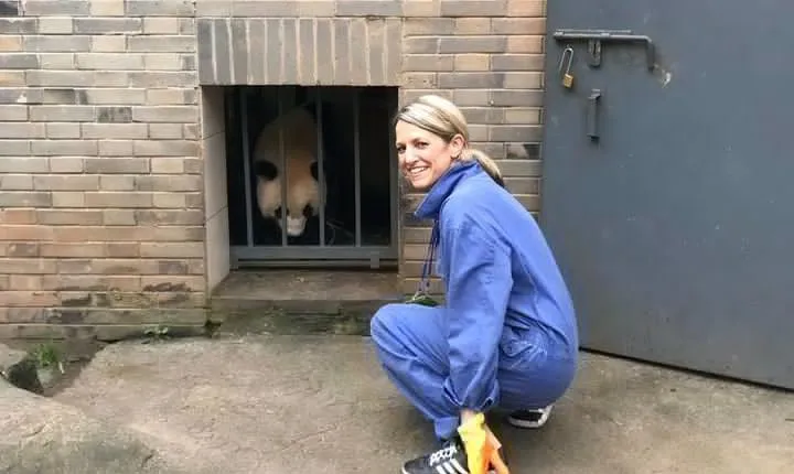 Private Full Day Panda Volunteer and Dujiangyan Irrigation System Tour