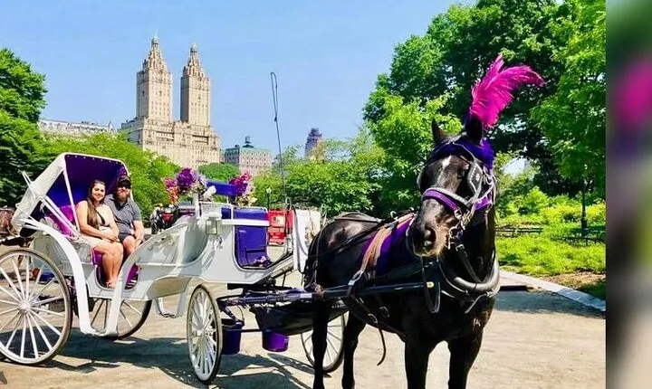 CENTRAL PARK TOUR,Central park sightseeing tours.Flexible Tours