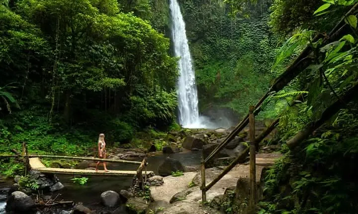 Private Tour Terrific Nungnung Waterfall And Wanagiri Hidden Hill
