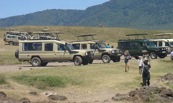 3-Day Taste of Tanzania Safari (Tarangire National park and Ngorongoro Crater)
