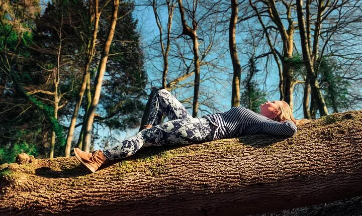 Half-day Forest Bathing and Yoga in Brighton's Woodlands