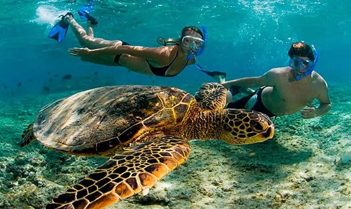 Amaizing Tour Tulums + Akumal Turtles from Cancún