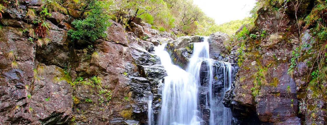 Lakes of Madeira full-day hiking tour