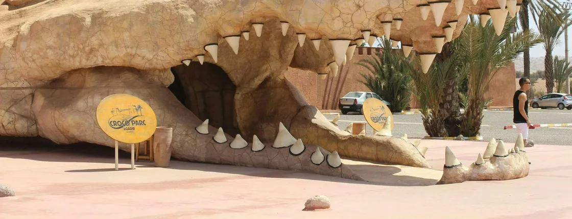 Visit to Crocoparc from Agadir or Taghazout with Entrance Tickets