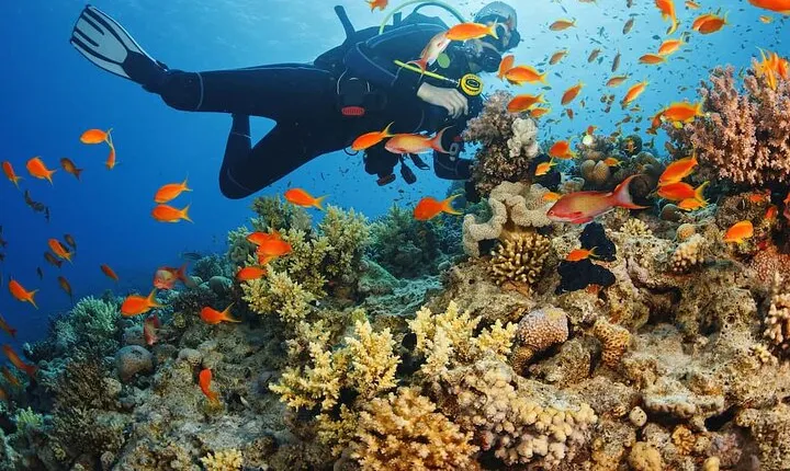 Half Day Scuba Diving Activity in Alanya