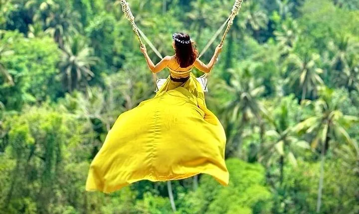 Ubud Tour with Swing, Temple, Monkey Forest, and Waterfall