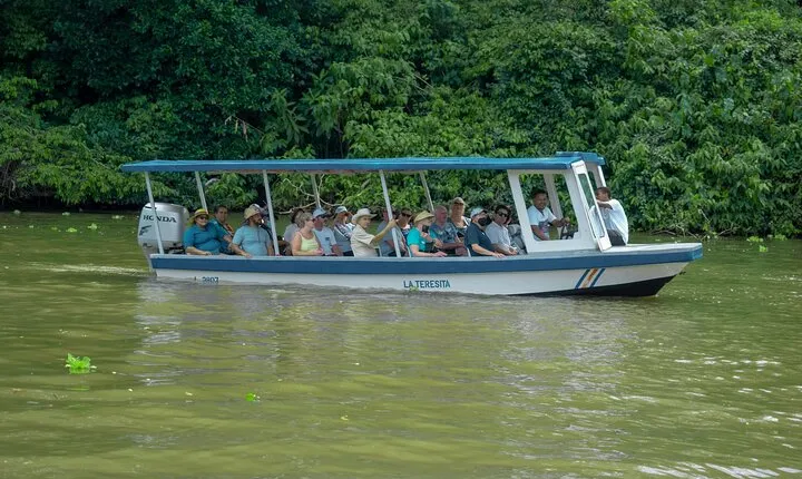 Private Tortuguero Canals Tour & Puerto Limón Highlights