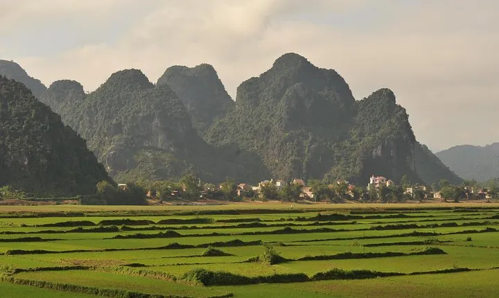 Tour to the caves ONE DAY tour to Phong Nha and Paradise caves