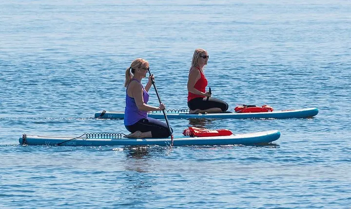 Dolphin and Manatee Stand Up Paddleboard Tour in Daytona Beach