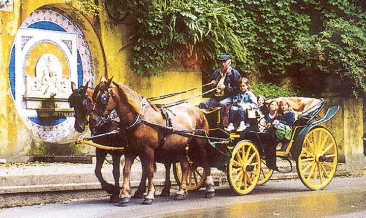 Private Equestrian Tour of Lisbon and Sintra