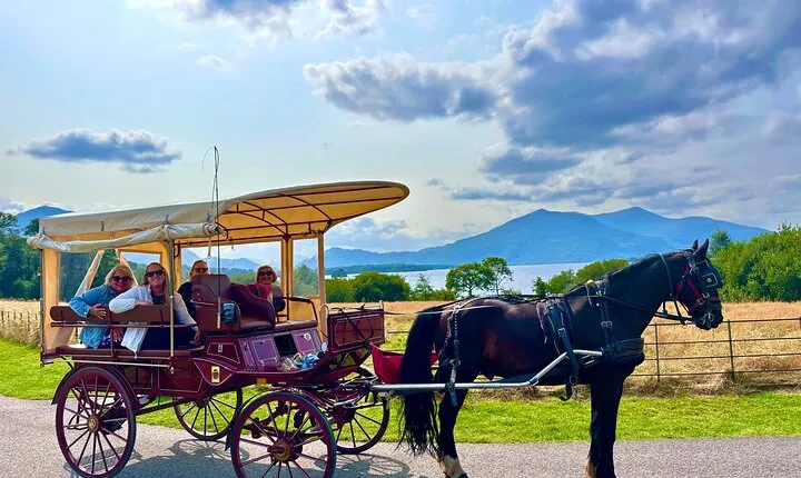 Jaunting Car Tour in Killarney National Park