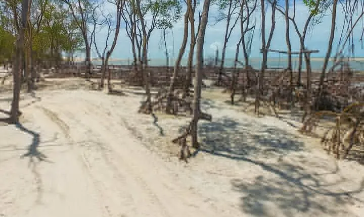 Private Buggy Tour To Tatajuba Beach