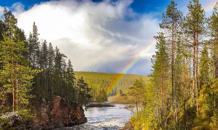 Wilderness Survival Tour - Summer & Autumn