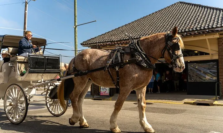 Private Historic Horse and Carriage Tour of Charleston