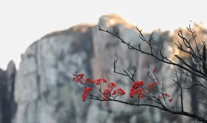 2-Day Private Sightseeing Tour of Qufu City Highlights and Mount Tai